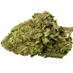 Gas Can CBD – Fleur CBD Cannacie