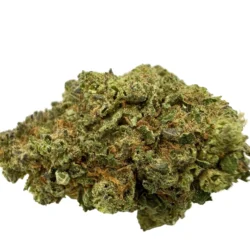 Cariboo CBD – Fleur CBD Cannacie
