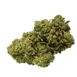 Lama CBD – Fleur CBD Cannacie