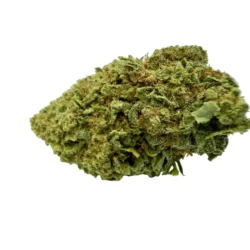 Sour brûlée CBD – Fleur CBD Cannacie